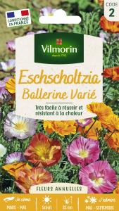 Eschscholtzia de Californie Ballerine Varié